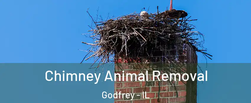  Chimney Animal Removal Godfrey - IL