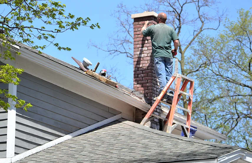Chimney & Fireplace Inspections Services in Godfrey, IL